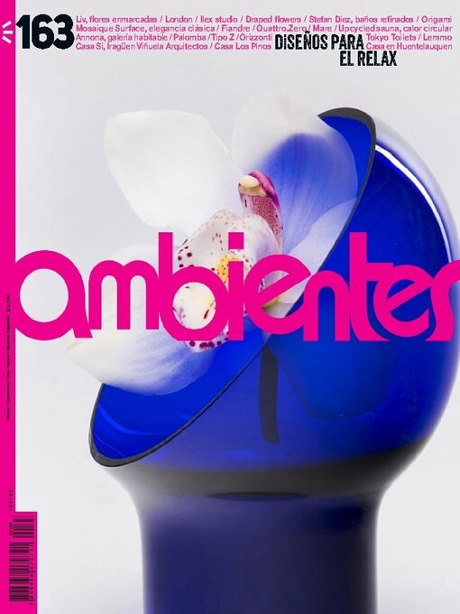 Title details for Revista Ambientes  by AMBIENTES DISENO Y COMUNICACION SA - Available